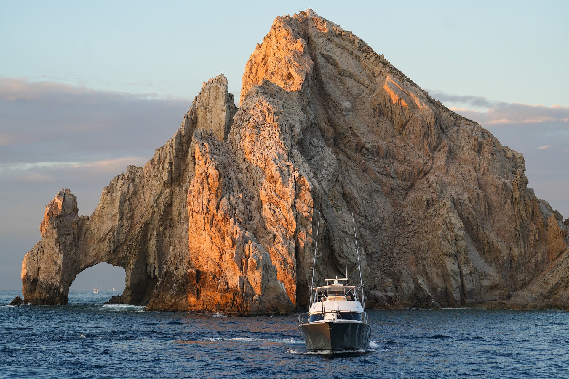 Los Cabos Billfish Tournament