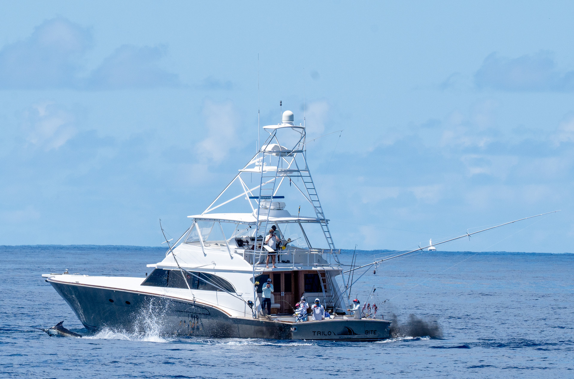 Scrub Island Billfish Series